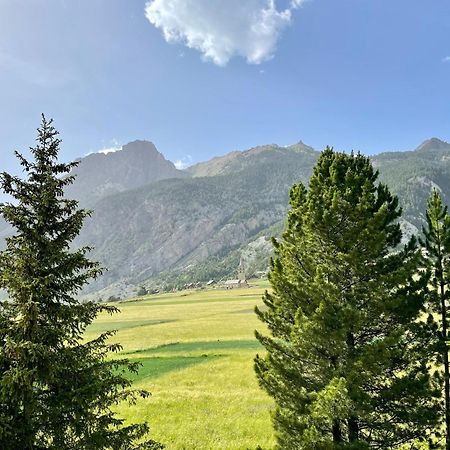 Gite Montagne 1 A 25 Places "Chalet Coste Belle" Ceillac Exteriör bild